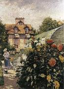 Gustave Caillebotte Big Chrysanthemum in the garden oil painting
